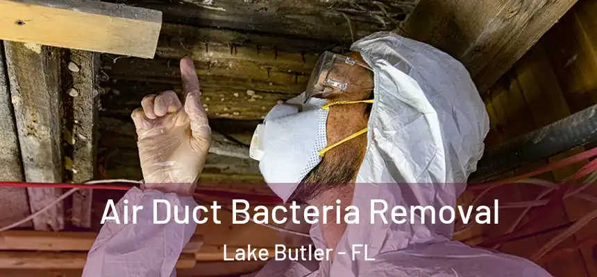 Air Duct Bacteria Removal Lake Butler - FL