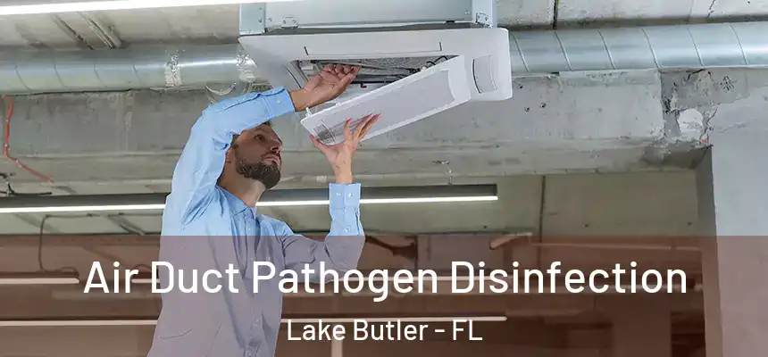 Air Duct Pathogen Disinfection Lake Butler - FL