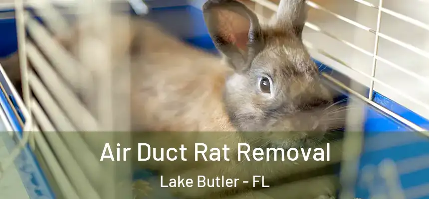 Air Duct Rat Removal Lake Butler - FL