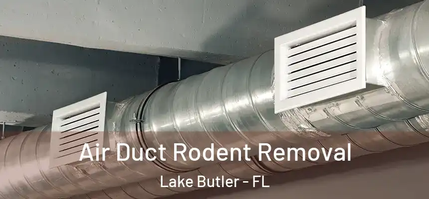 Air Duct Rodent Removal Lake Butler - FL