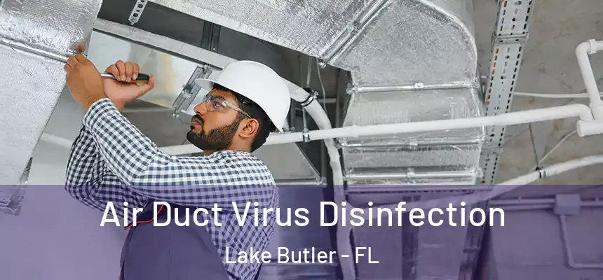 Air Duct Virus Disinfection Lake Butler - FL