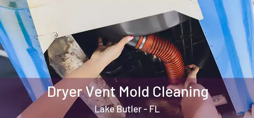 Dryer Vent Mold Cleaning Lake Butler - FL
