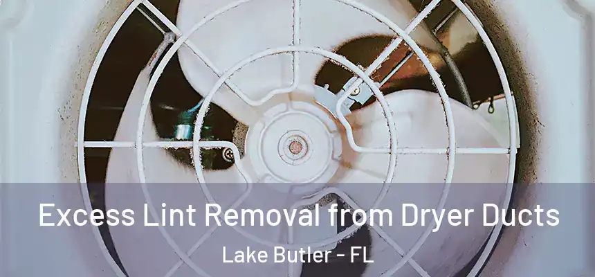 Excess Lint Removal from Dryer Ducts Lake Butler - FL