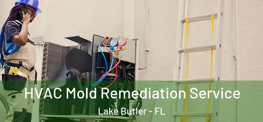 HVAC Mold Remediation Service Lake Butler - FL
