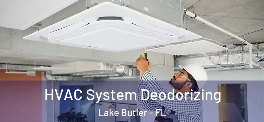 HVAC System Deodorizing Lake Butler - FL