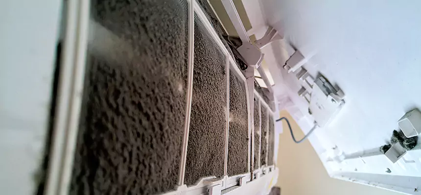 Preventive Air Duct Bacteria Removal in Lake Butler