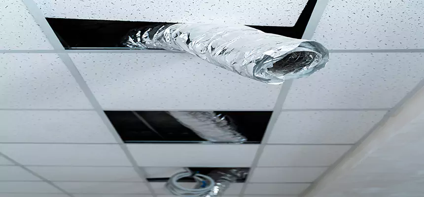 Our Air Duct Pet Hair Removal Services in Lake Butler, FL