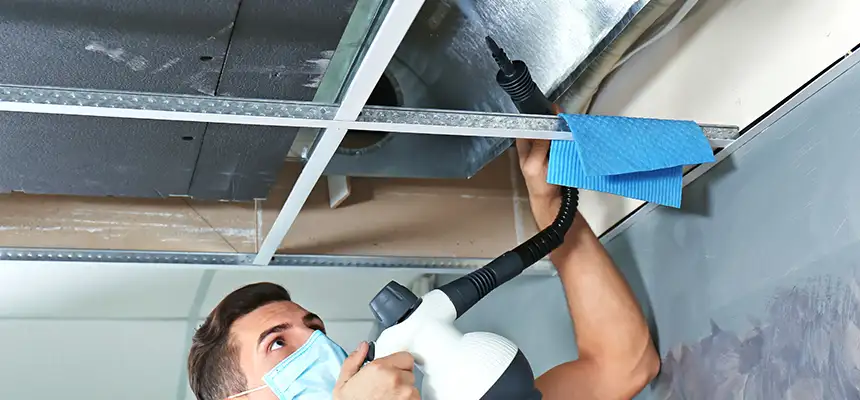 Our Air Duct Rodent Removal Services in Lake Butler, FL