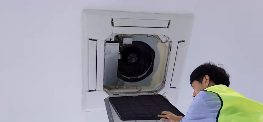 Our Dryer Vent Sanitization Service Services in Lake Butler, FL