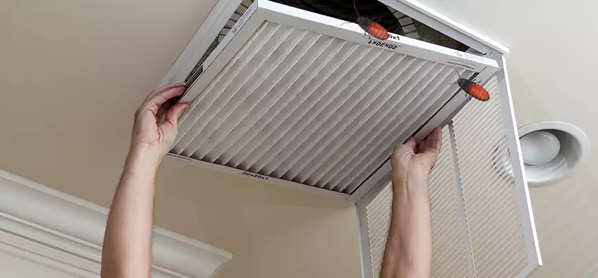 Our Insect Removal from Air Ducts Services in Lake Butler, FL