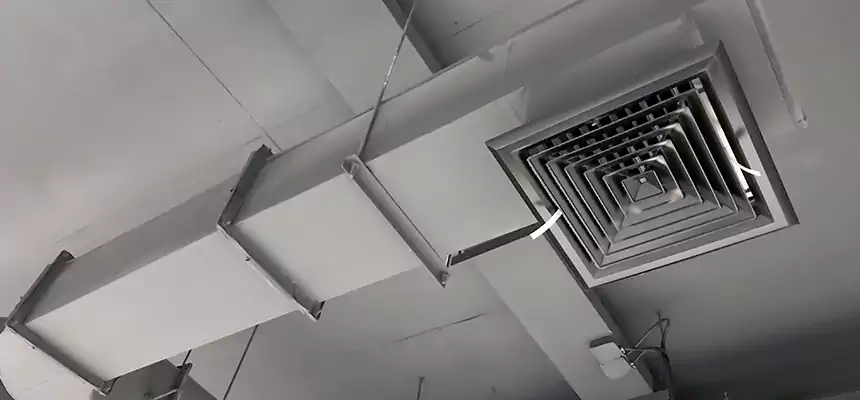 Our Pest Removal From Ducts Services in Lake Butler, FL