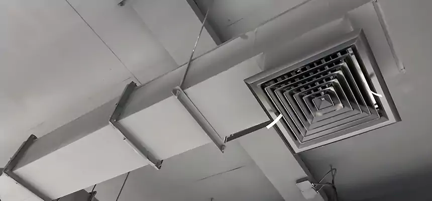 Our Rodent Droppings In Vents Services in Lake Butler, FL