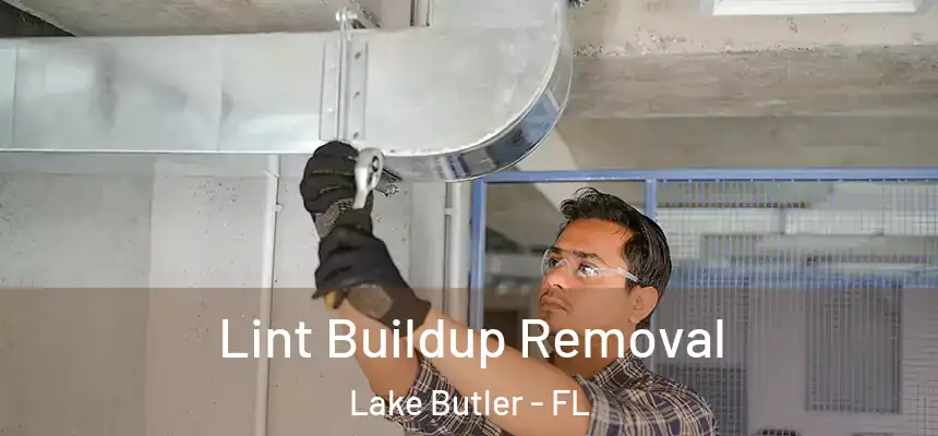 Lint Buildup Removal Lake Butler - FL