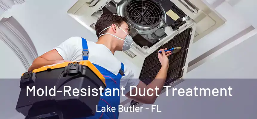 Mold-Resistant Duct Treatment Lake Butler - FL