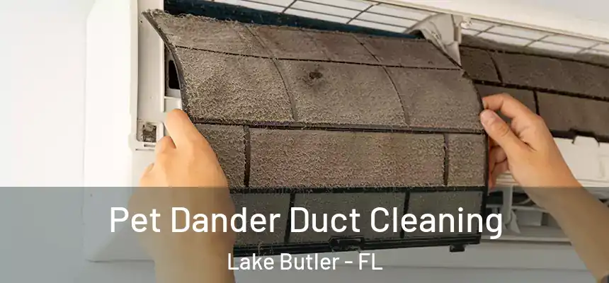Pet Dander Duct Cleaning Lake Butler - FL