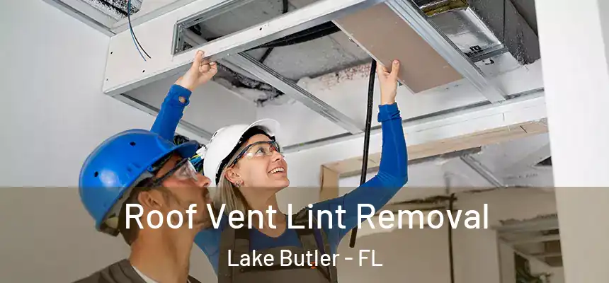 Roof Vent Lint Removal Lake Butler - FL