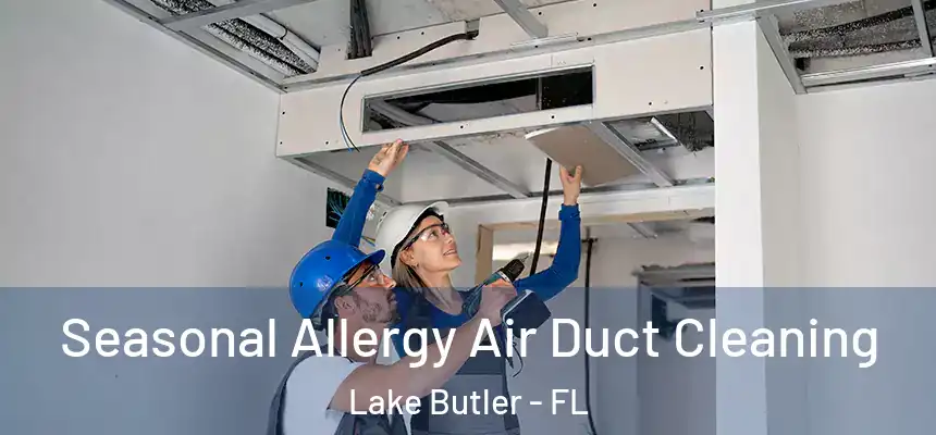 Seasonal Allergy Air Duct Cleaning Lake Butler - FL