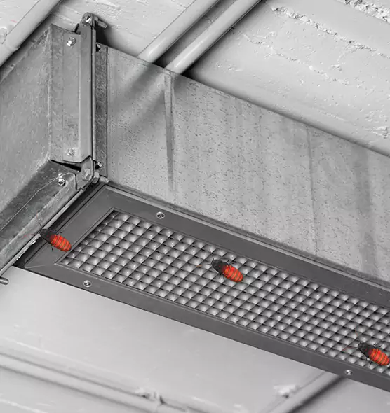 About Air Duct Cockroach Removal in Lake Butler, FL