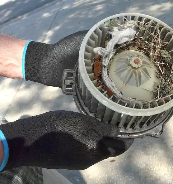 About Air Duct Mice Removal in Lake Butler, FL