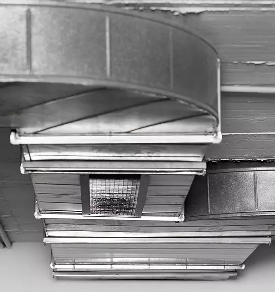 Professional Air Duct Pet Hair Removal in Lake Butler, FL