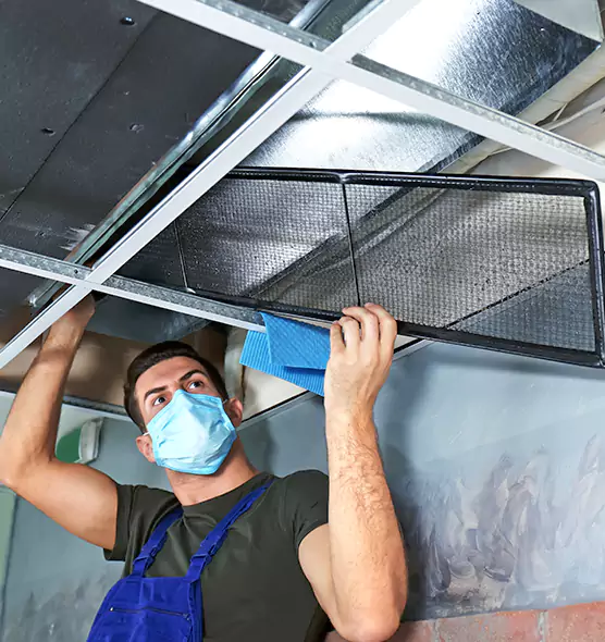 Professional Air Duct Pollen Cleaning in Lake Butler, FL