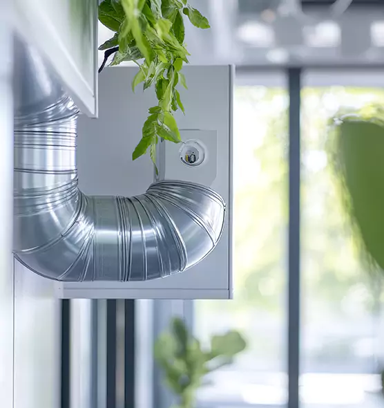 Professional Eco-Friendly Duct Cleaning Services in Lake Butler, FL