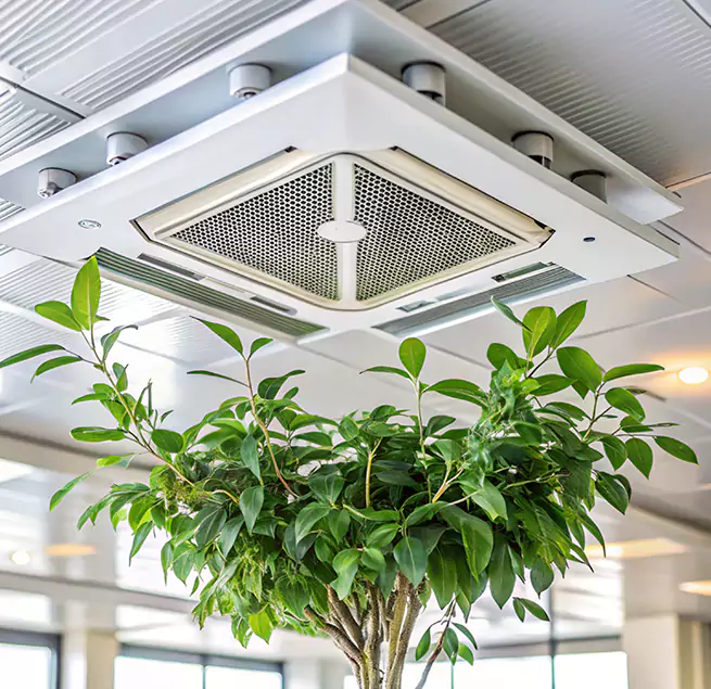 Why Homeowners & Businesses Trust Us in Lake Butler, FL?