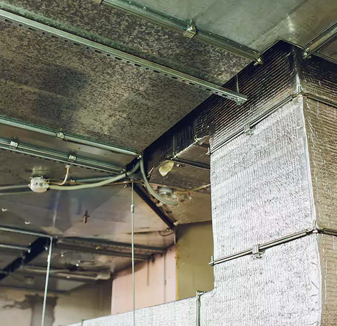 Why Homeowners & Businesses Trust Us in Lake Butler, FL?